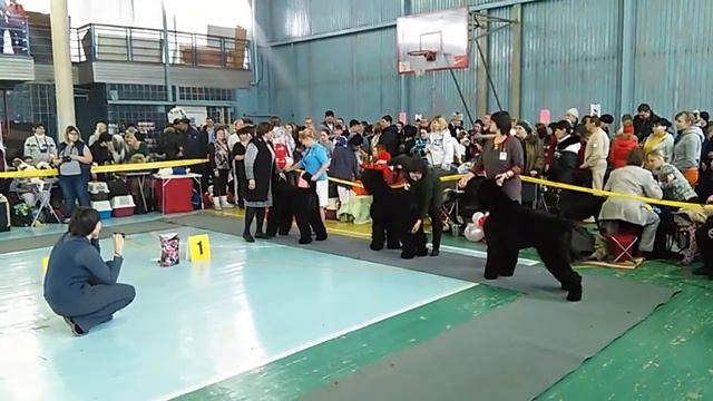 VID 20160116 143243 смотреть онлайн