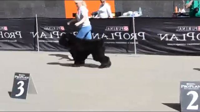 Ариана Наследница Роксаны смотреть онлайн
