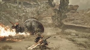 Monster Hunter Wilds трейлер к выходу игры [PS5, 2024]