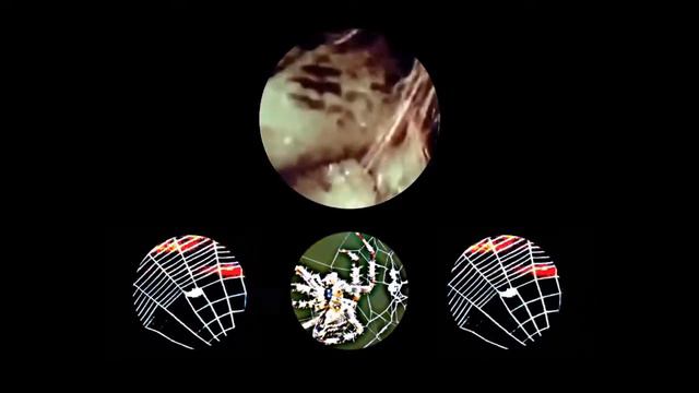 violeta смотреть онлайн