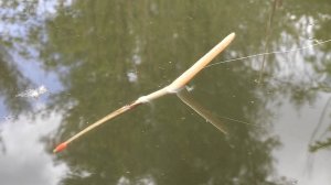 Карась на ПОПЛАВОК - Рыбалка на короткую удочку и поклевки на Гусиное Перо