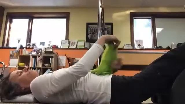 Adaptive Pilates with Liz Ann 11/4/21 смотреть онлайн