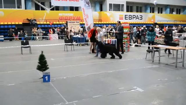 Сравнение на ЛПП смотреть онлайн