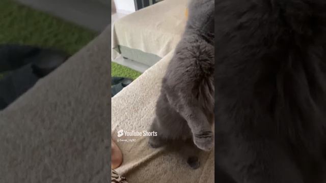 Наша любимица 2024 год. ❤️