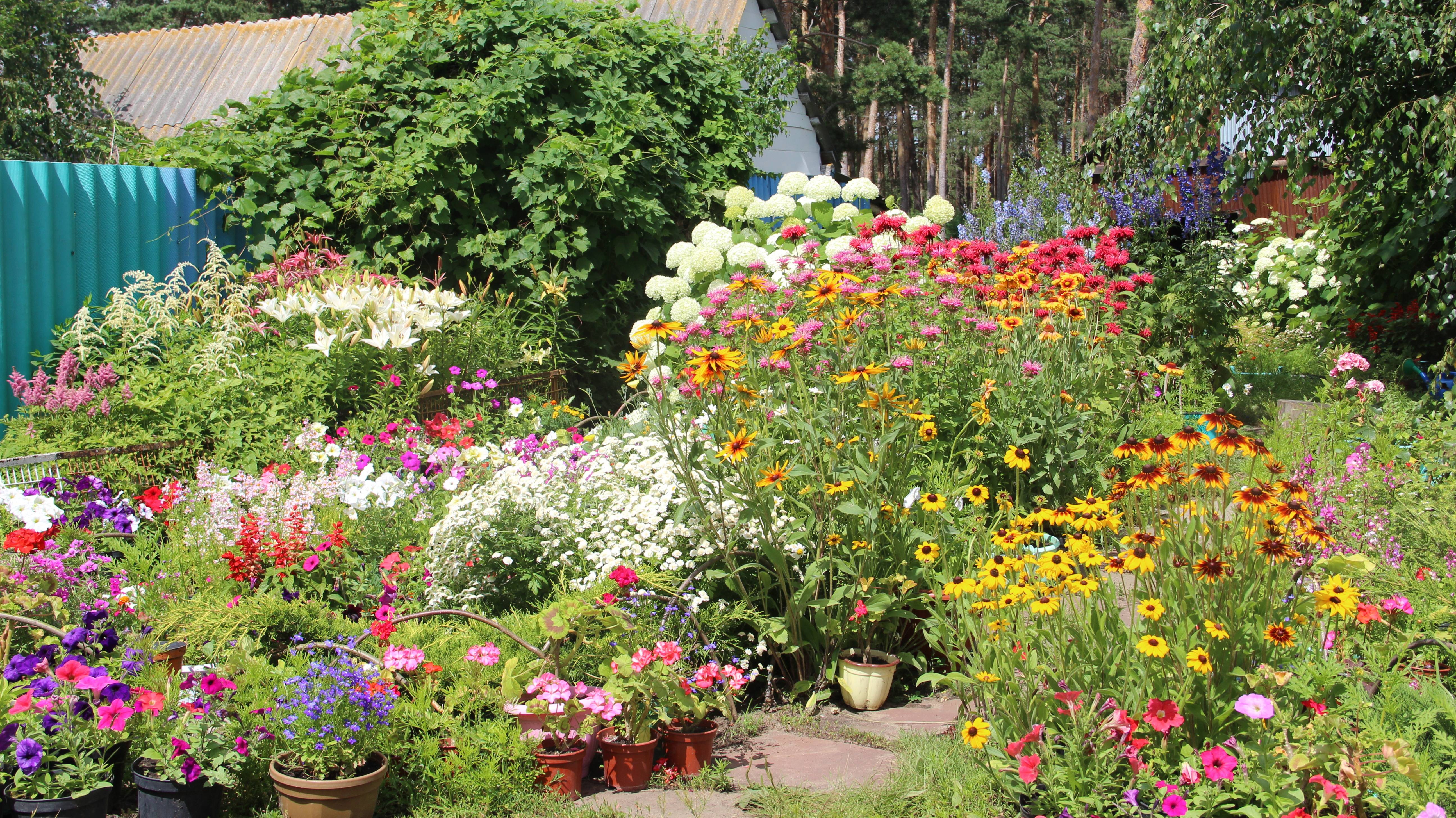 Приглашаю вас, в цветочный уголок моего дворика смотреть онлайн