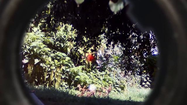 СНАЙПЕР ПОПАЛ МНЕ В ГЛАЗ. СТРАЙКБОЛ // AIRSOFT ACTION смотреть онлайн