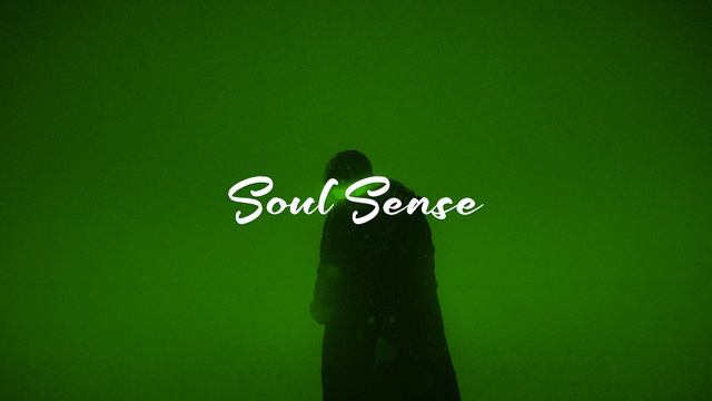 Swedish House Mafia, Sting - Redlight