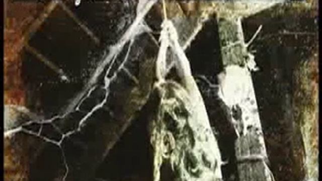 Angry Johnny And The Killbillies-Everything Is Grey смотреть онлайн