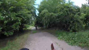 ХИЩНИК С ТОПОРОМ. СТРАЙКБОЛ // PREDATOR WITH AN AXE