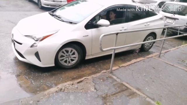 Перегон Хабаровск-Тюмень.1# Toyota Prius 50S
