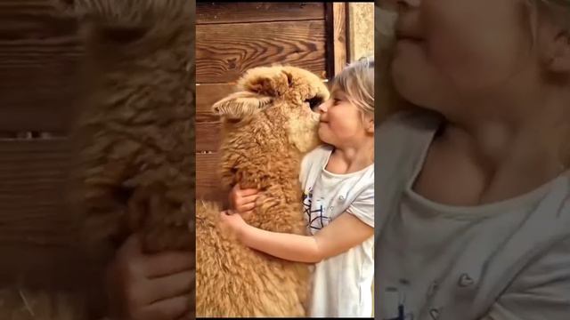 Доброе видео смотреть онлайн