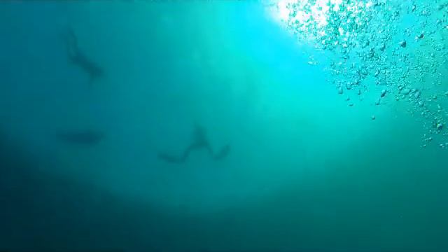 KyleFreediveSnapper смотреть онлайн