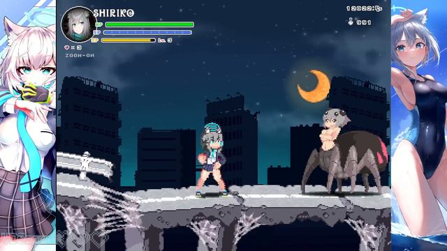 Echidna Wars Dx - Shiroko Skin From Blue Archive