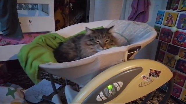 Усыпить кота . mp4 смотреть онлайн