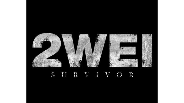 2WEI Survivor Mp3
