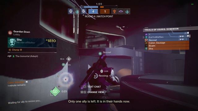 The Hunter subclass you SHOULD be playing | Destiny 2 смотреть онлайн