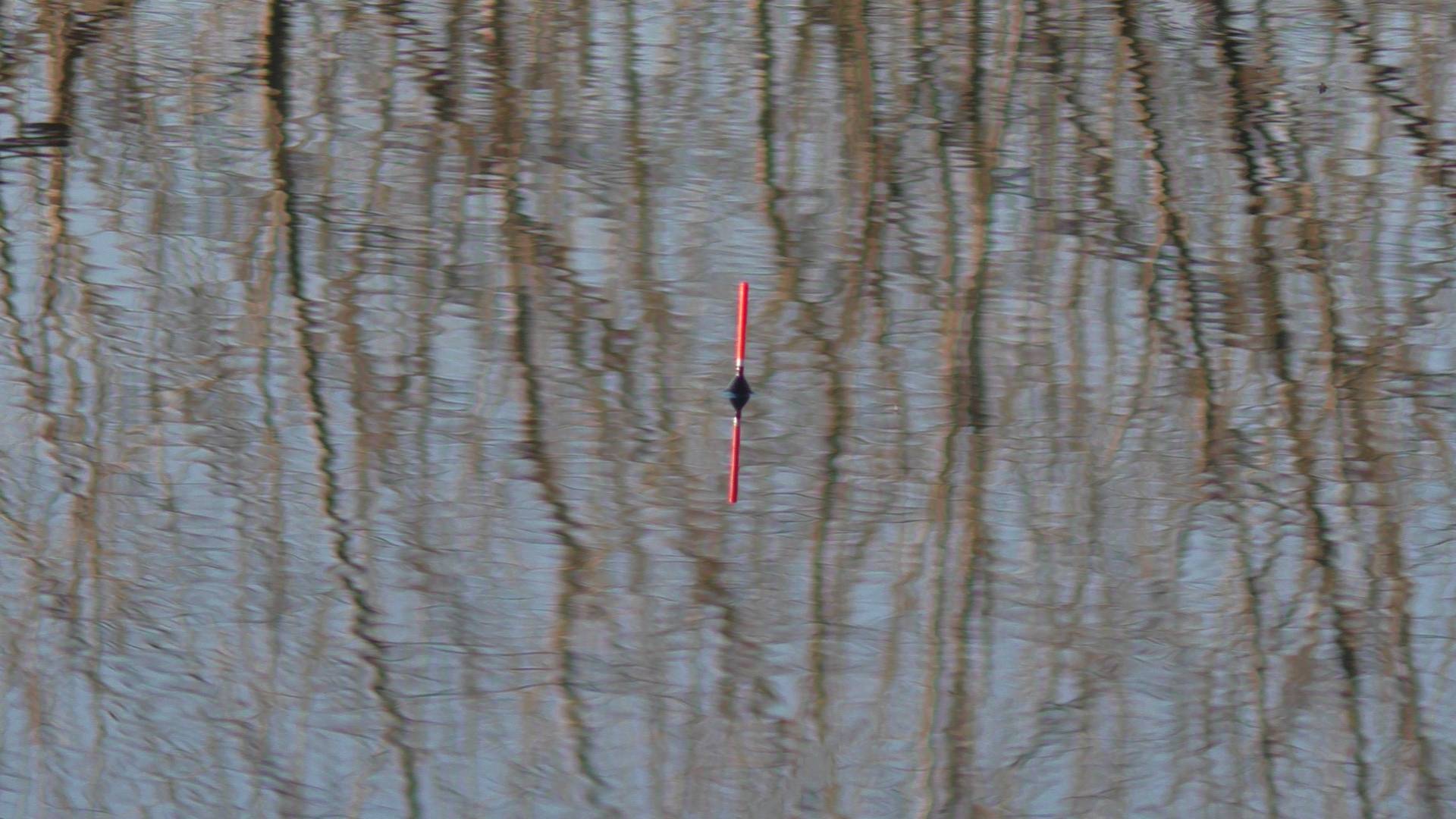 ЗА ТАКИМИ ПОКЛЁВКАМИ СТОИЛО СЮДА ЕХАТЬ. Рыбалка на поплавок смотреть онлайн