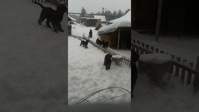 В смотреть онлайн