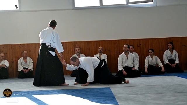 Кристиан Тисье. Айкидо додзё VDB (19.02.2022; ч 2)