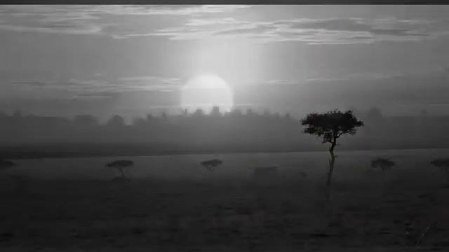 Las tierras de los Masai смотреть онлайн