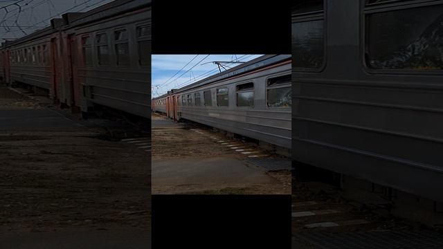 ЭД4М-0357 (любимка в жел-доре) смотреть онлайн
