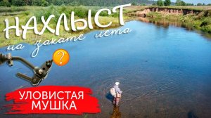 САМАЯ УЛОВИСТАЯ МУШКА НА ГОЛАВЛЯ! ПОИМКА НА КАЖДОМ ЗАБРОСЕ! Рыбалка нахлыстом