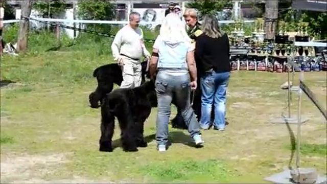 сас3 смотреть онлайн