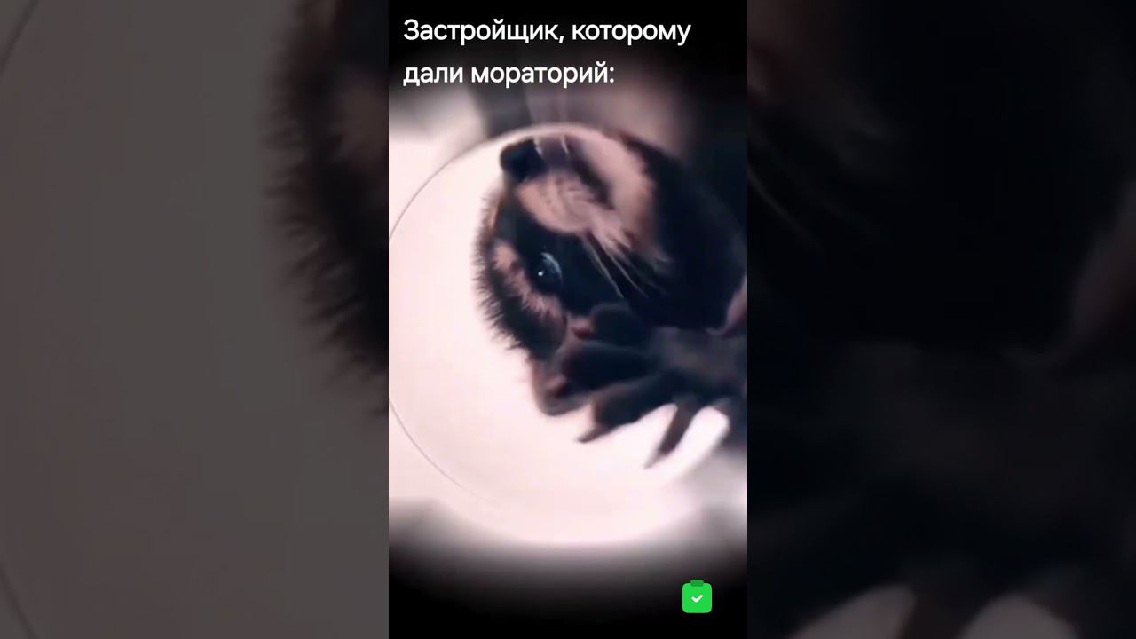 11 апреля 2024 г. смотреть онлайн