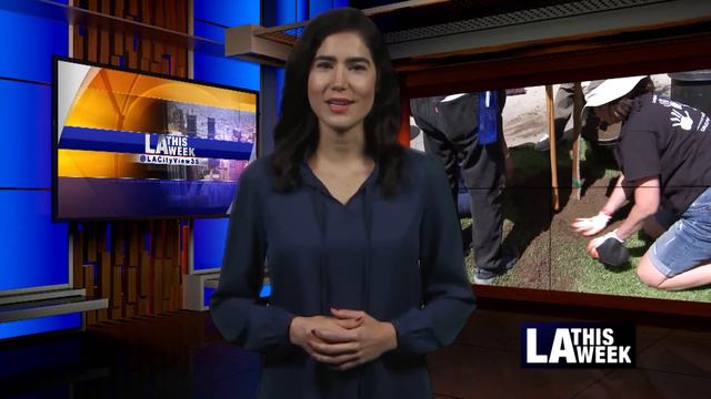 LA This Week #1198 смотреть онлайн