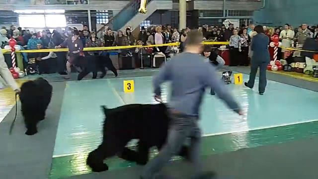 VID 20160116 143805 смотреть онлайн