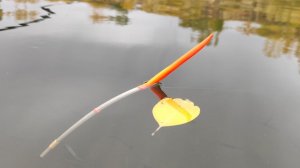 РЫБАЛКА НА ПОПЛАВОК осенью - ТАЗИК КРУПНЫХ КАРАСЕЙ, ловля на удочку