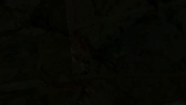 Let's play по Max Payne серия 4 смотреть онлайн