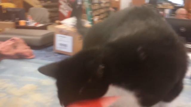 Cs.GO my bayonet crimson Web Stat track lelele смотреть онлайн