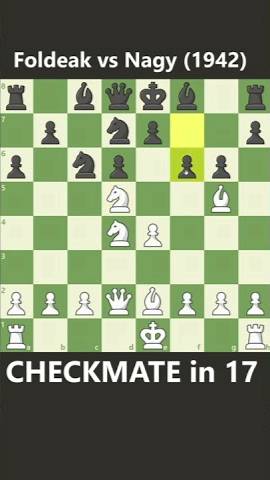 CHECKMATE in 17 смотреть онлайн