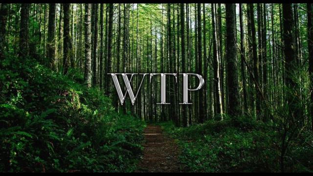 WTP-Green Trip смотреть онлайн