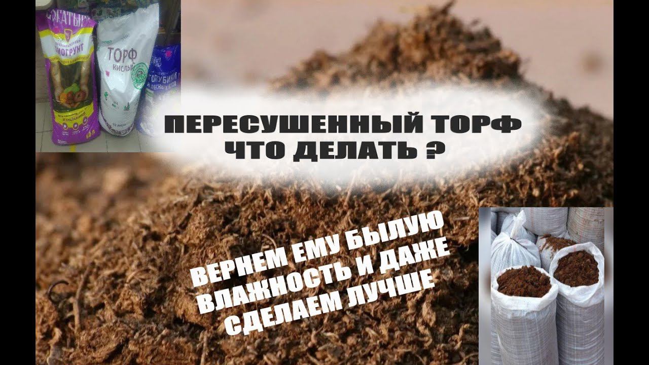 Купили пересушенный торф для рассады,что делать?Как быстро смочить пересушенный торф смотреть онлайн