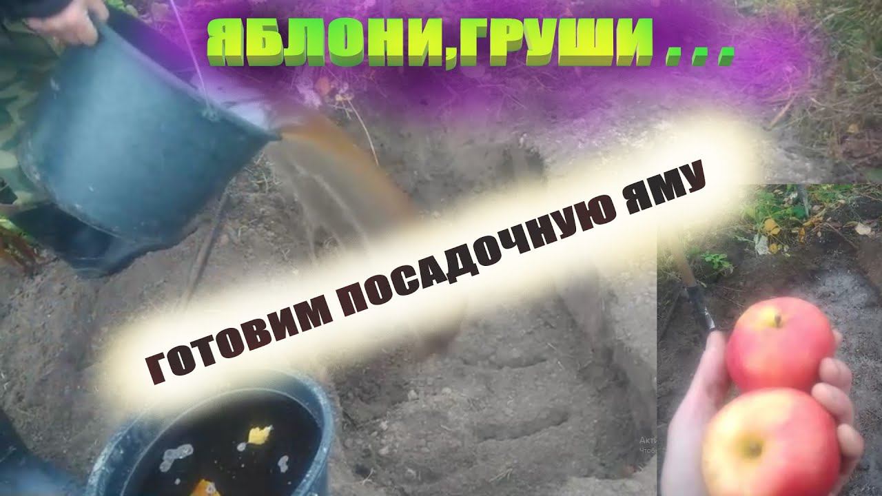 Посадочная яма под яблоню,грушу.Как подготовить быстро и правильно смотреть онлайн