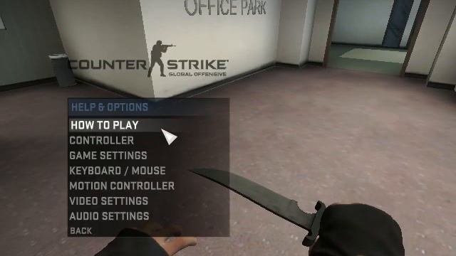 Counter Strike Global Offensive Beta on intel GMA 4500M смотреть онлайн