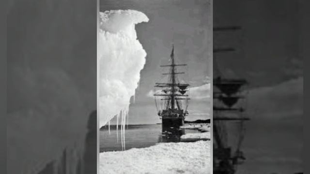 The Brink of Silence|Story of a Failed Hero|Esther E Galbraith|English for LLB смотреть онлайн
