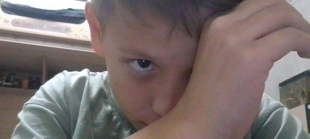 бровлтоп смотреть онлайн