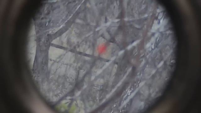 ПОЧТИ ПОБЕГ ИЗ ТАРКОВА (EFT). СТРАЙКБОЛ смотреть онлайн