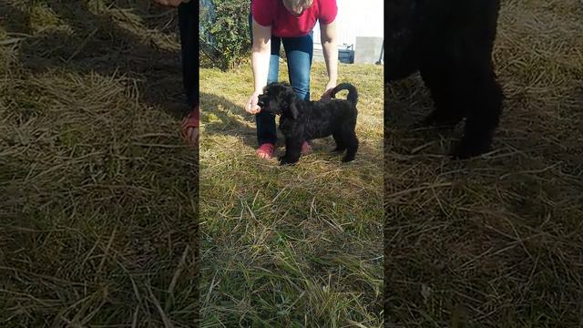 VID 20180906 162931 смотреть онлайн