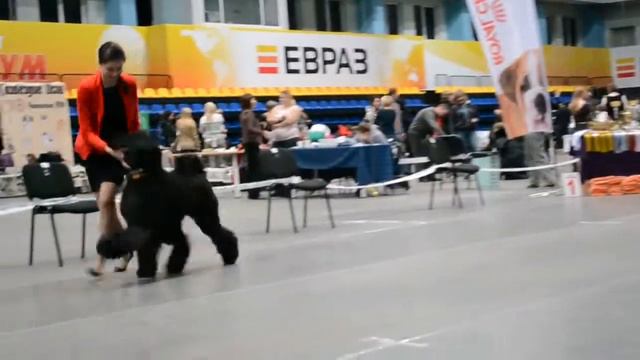 DSC 4971 смотреть онлайн