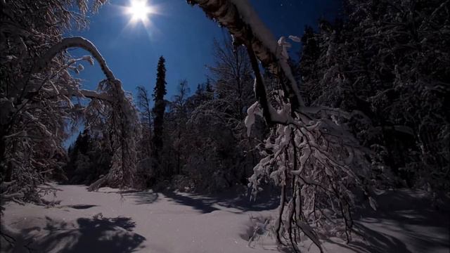 Tapio Rautavaara - kulkurin iltatähti смотреть онлайн