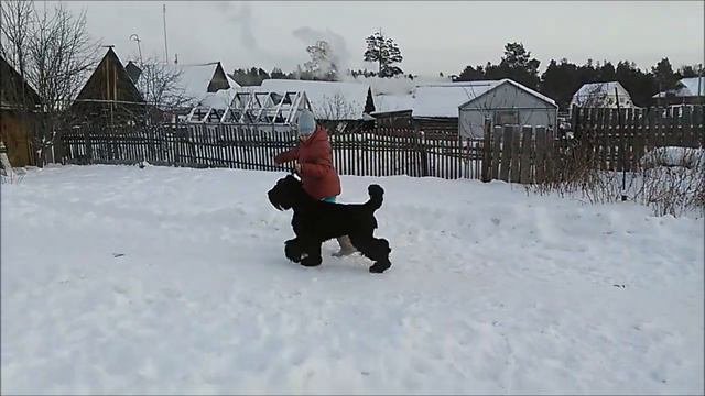 Элис 1,5 г смотреть онлайн