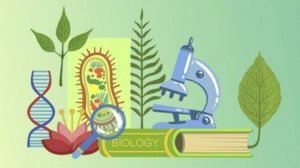 Биология 8 класс. Пластический и энергетический обмен. --