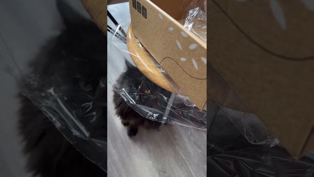 Маленькие кулинарные радости 😁
Набор специй на все случаи жизни