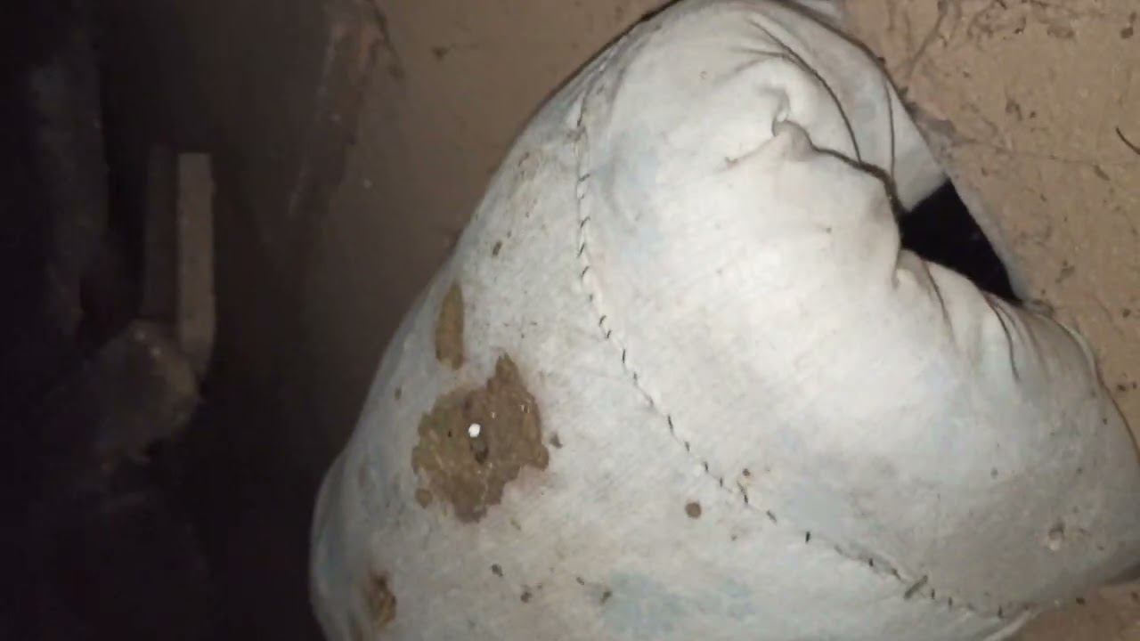 правильное запечатывание амшанника после прикорма пчел