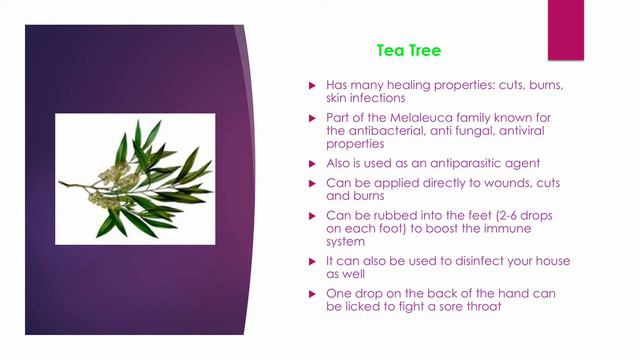 10 Essential Oils You Need In Your Life смотреть онлайн