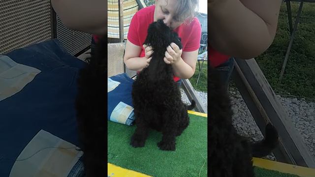 VID 20180906 170017 смотреть онлайн